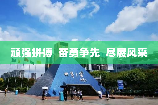 顽强拼搏  奋勇争先  尽展风采