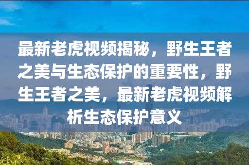 最新老虎视频揭秘，野生王者之美与生态保护的重要性，野生王者之美，最新老虎视频解析生态保护意义