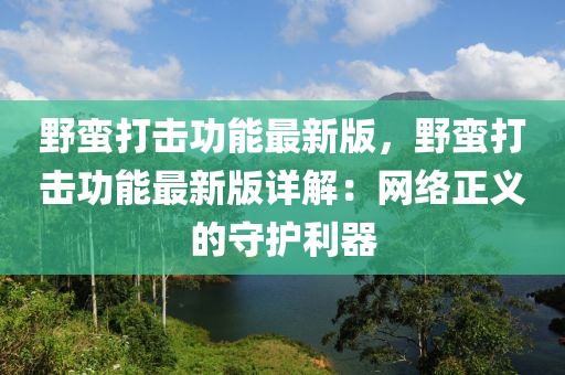 野蛮打击功能最新版，野蛮打击功能最新版详解：网络正义的守护利器
