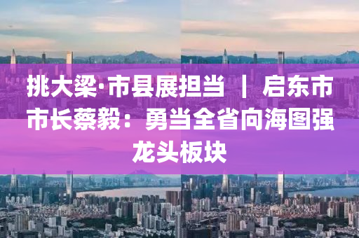 挑大梁·市县展担当 ｜ 启东市市长蔡毅：勇当全省向海图强龙头板块