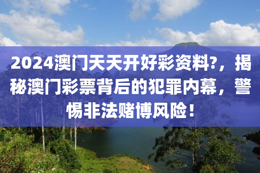 2024澳门天天开好彩资料?，揭秘澳门彩票背后的犯罪内幕，警惕非法赌博风险！