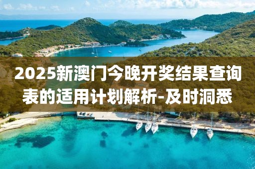2025新澳门今晚开奖结果查询表的适用计划解析-及时洞悉