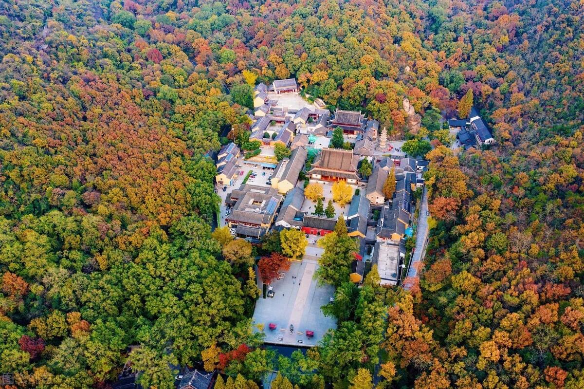 南京旅游最新消息今天，南京旅游最新动态速览