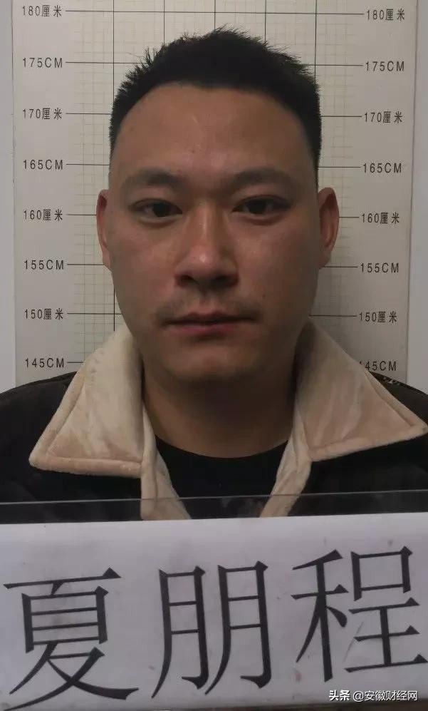 六安最新通告，共建美好家园，共享幸福生活，六安发布共建共享美好家园幸福生活最新通告