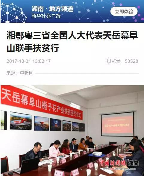 龙山新闻网最新消息全面报道，龙山新闻网最新消息全面速递