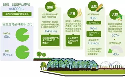 最新小麦种植技术与发展趋势分析，最新小麦种植技术与发展趋势深度解析