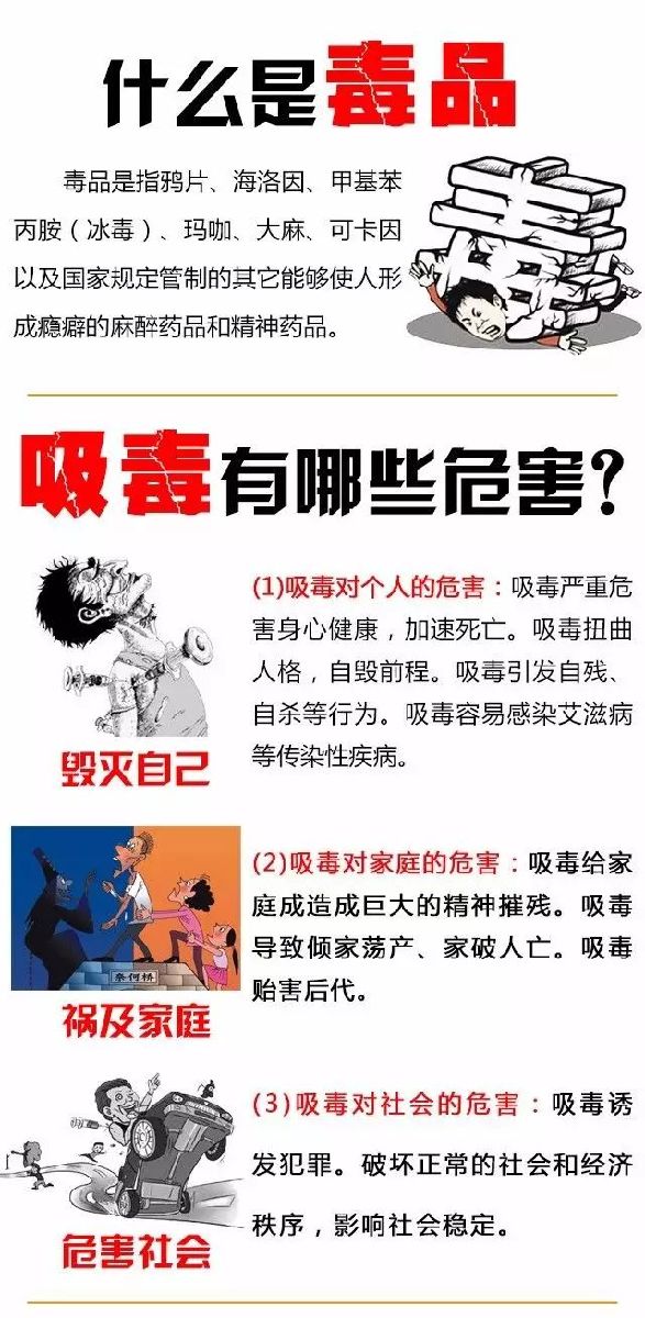 安全禁止吸毒，构建无毒社会的关键要素与行动指南，安全禁止吸毒，构建无毒社会的行动指南与关键要素