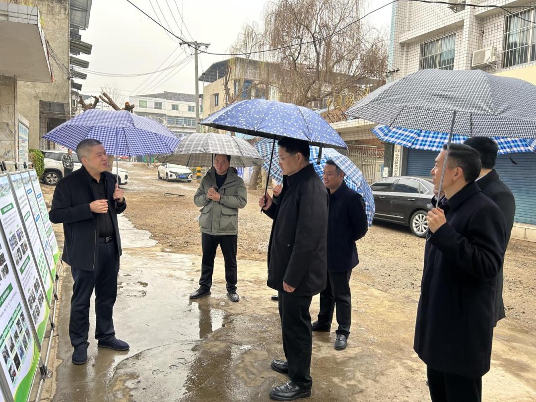 乐至童家最新规划，乐至童家最新发展规划揭秘