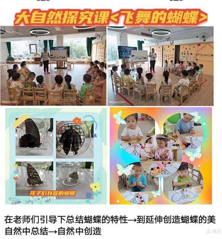 随影最新，探索电影世界的最新动态与魅力，探索电影最新动态与魅力，随影追踪