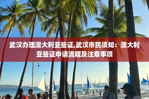深圳市入境最新通知详解，入境政策调整与注意事项，深圳市最新入境政策详解，调整内容、注意事项全解析