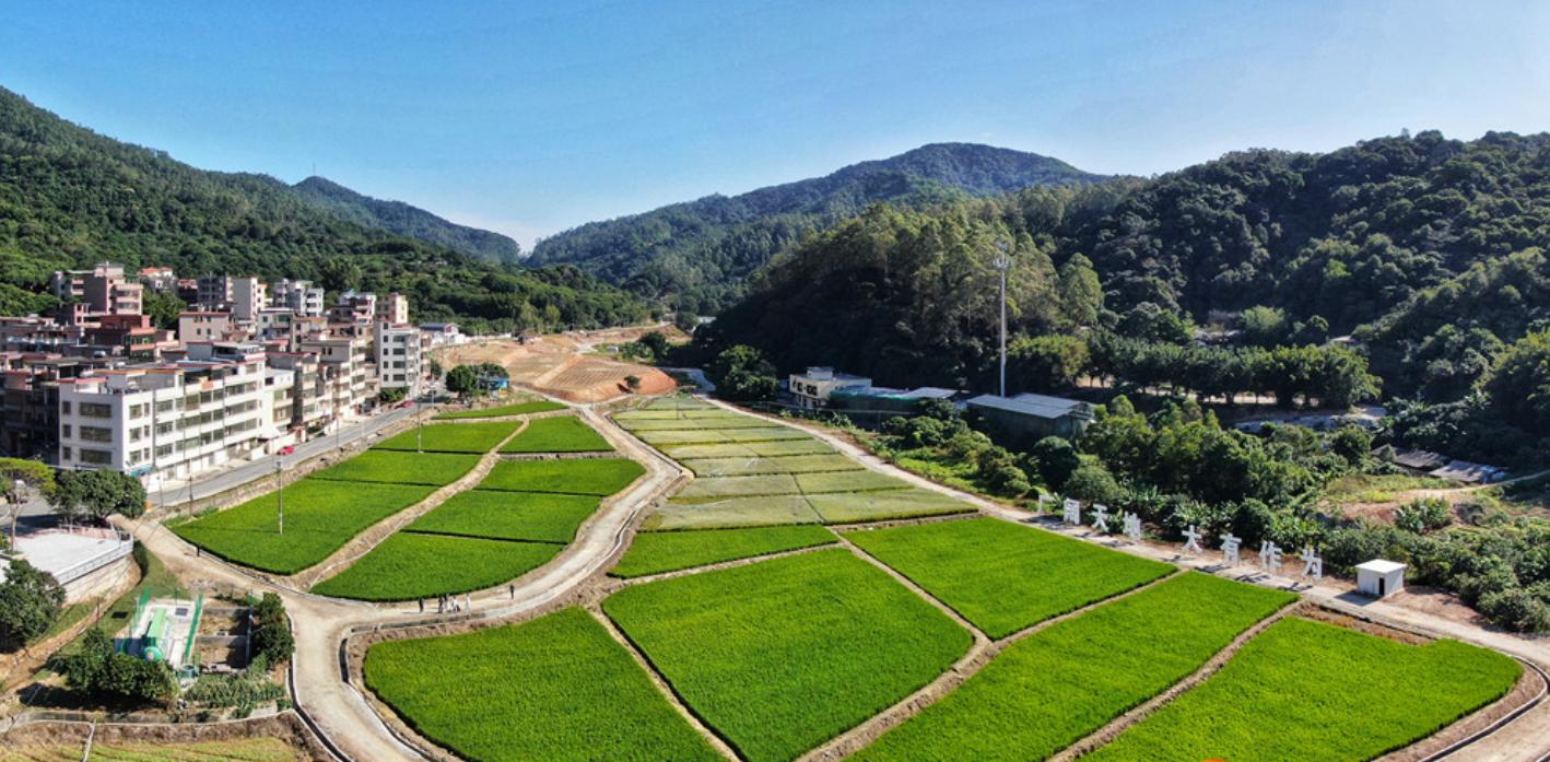 广州电动车上牌最新规定，绿色出行，你我共享，广州电动车上牌新规定，绿色出行，共享未来