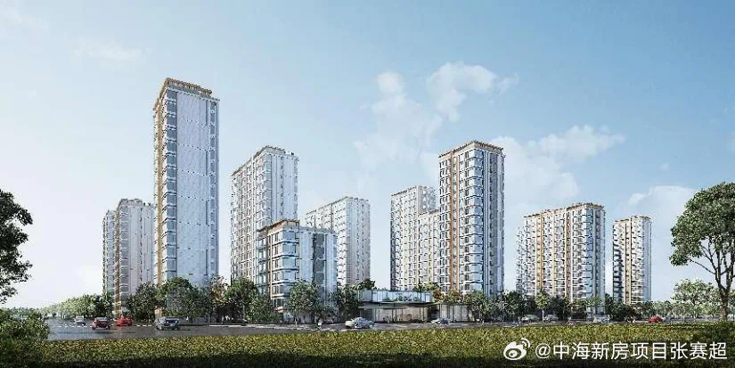 中海片最新，中海片区最新动态