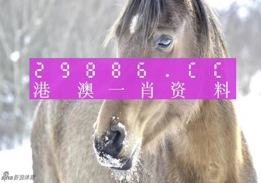 2024年12月4日 第14页