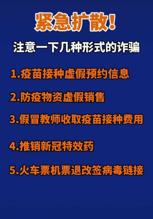 2024年12月5日 第114页