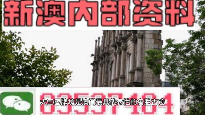 澳门最精准正最精准龙门，澳门最精准正龙门犯罪揭秘