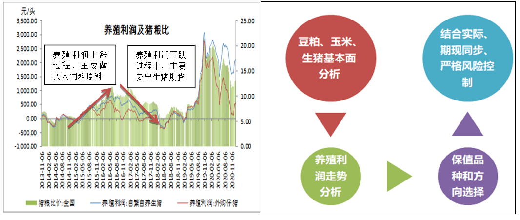 新澳最准的资料免费公开，新澳资料公开：准确性、免费与潜在风险分析