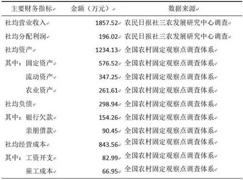 2024澳彩开奖记录查询表，数据分析报告：基于《2024澳彩开奖记录查询表》的全面分析与解读