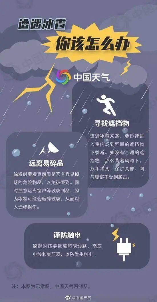 新奥门特免费资料大全，警惕“新澳门特免费资料大全”：远离赌博陷阱，共同维护社会稳定与和谐安全