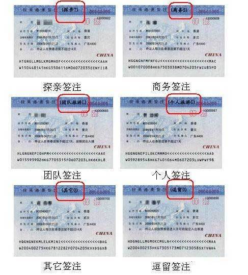 澳门最精准免费资料大全旅游团，澳门最精准免费旅游团数据分析报告：优化策略与市场洞察