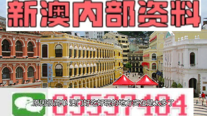新澳门资料大全码数，新澳门资料大全——探寻澳门的文化、历史、旅游与美食魅力