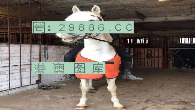 香港好乐跑狗资详解，香港好乐跑狗资料详解