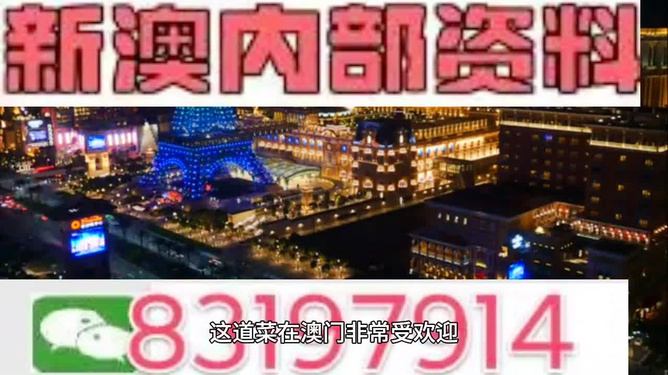 2024新澳免费资料大全精准板，新澳资料大全精准版：全面介绍与风险警示