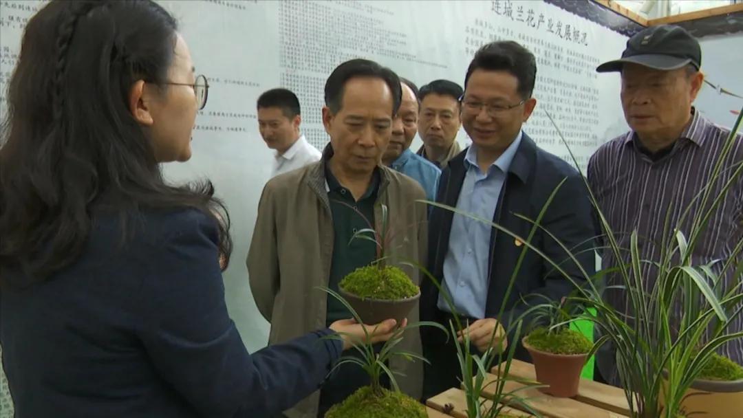 最新的战争片连续剧，烽火连城，战火纷飞之最新战争巨制