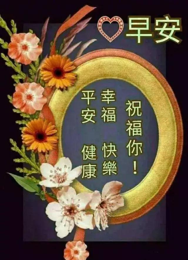 深圳一路有喜最新消息，深圳一路有喜，最新动态报道