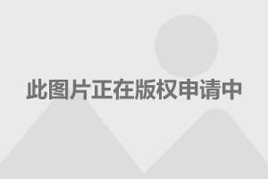 新澳新澳门正版资料4949网，《新澳新澳门正版资料4949网：深入解析背后的风险与潜在问题》标题建议：警惕非法赌博网站，共同维护网络安全和社会秩序。