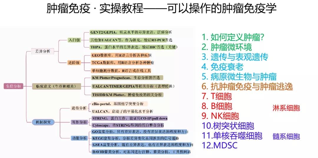 管家婆大山巴一肖资料大全，关于管家婆大山巴一肖资料的全面解析与注意事项：赌博有风险，请远离非法活动