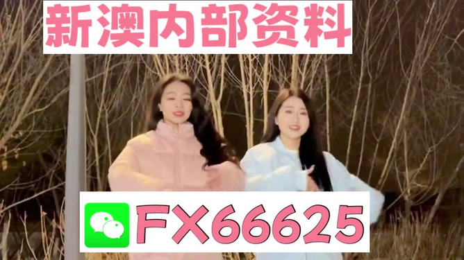 最准一码一肖100%精准,管家婆，最准一码一肖与管家婆，揭秘精准预测背后的犯罪真相？