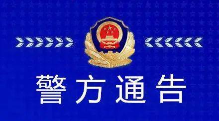 新澳门六开奖结果记录，澳门六开奖结果记录，揭示违法犯罪行为的警示标题