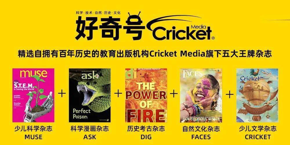 新奥正版全年免费资料，新奥正版全年免费资料大放送