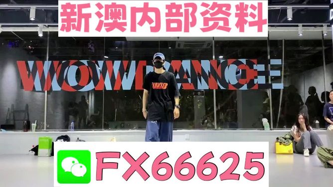 新澳门精准资料大全管家婆料，澳门精准资料大全揭秘，管家婆料背后的风险与警示