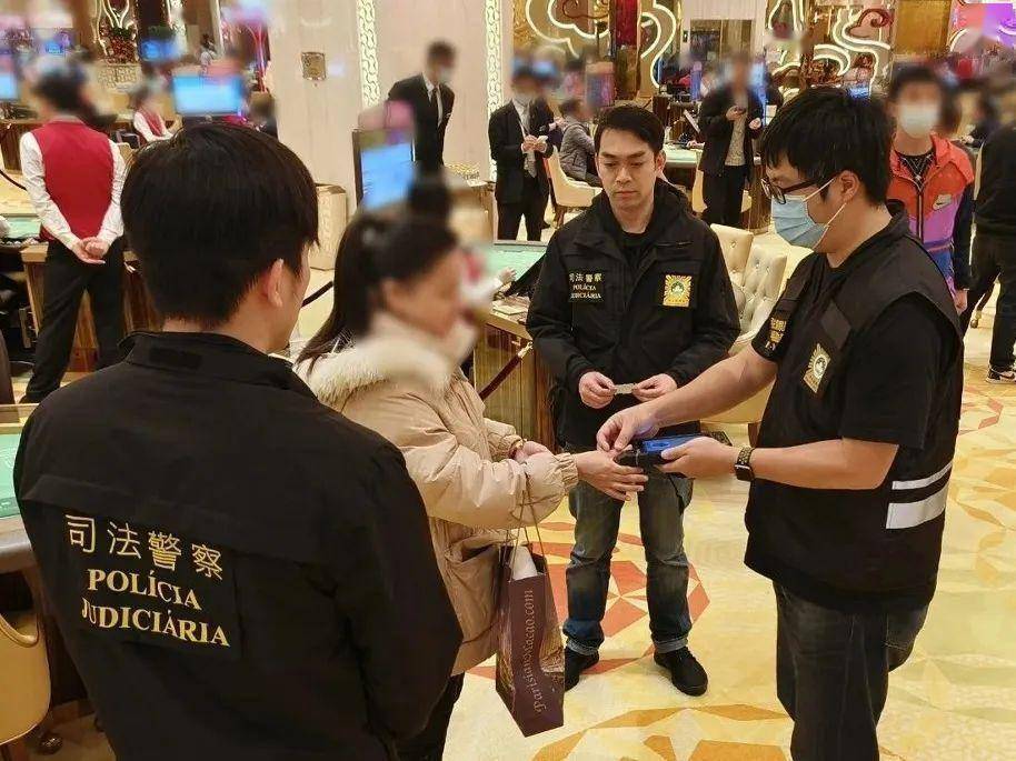 澳门王中王100%的资料2024年，澳门王中王资料揭秘，揭秘犯罪行为的警示与警醒（2024年）