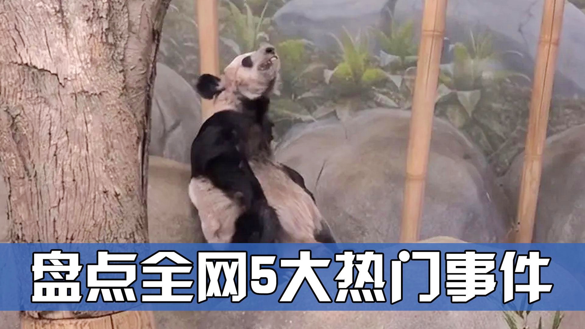 YY最新动态盘点，独家揭秘平台新趋势及热门事件，YY平台最新动态全解析，独家趋势洞察与热门事件回顾