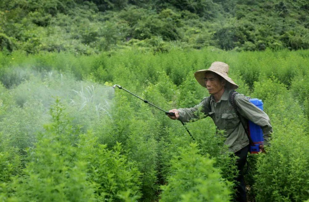 扶贫app软件最新版，智慧扶贫利器，最新版扶贫APP软件全面上线