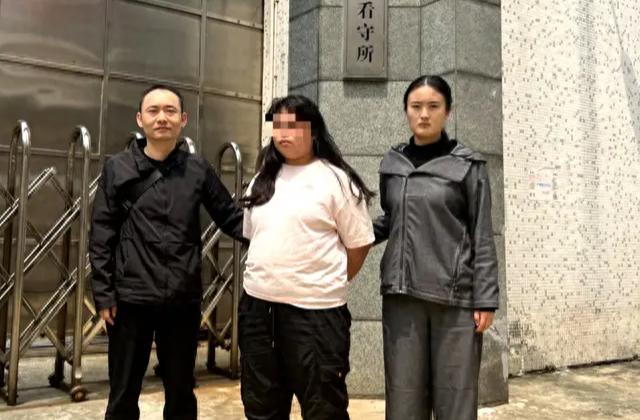 精准一肖一码一子一中，精准一肖一码一子一中，揭秘犯罪背后的真相