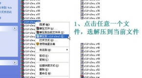 香港宝典资料免费大全，香港宝典资料免费获取大全：全面探索资料种类与获取途径