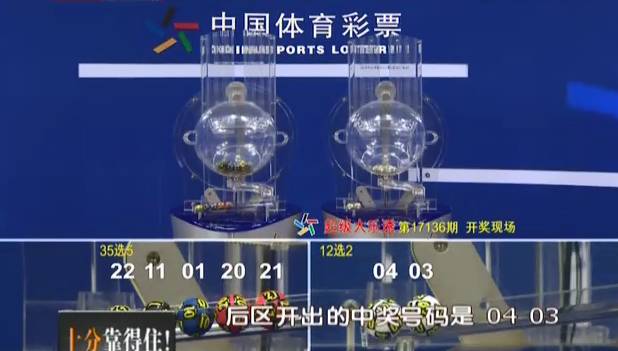 2024澳门天天开好彩大全2024，澳门彩票背后的犯罪真相揭秘