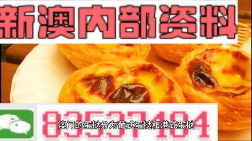 新澳2024资料大全免费，新澳2024资料大全免费汇总