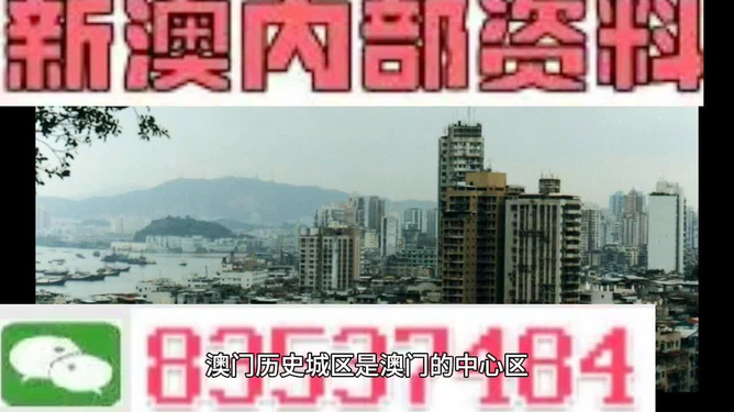 新澳门精准资料大全管家婆料，澳门精准资料大全揭秘，管家婆料背后的风险与警示