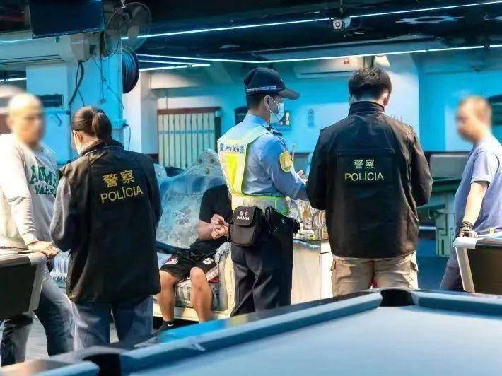 澳门王中王100%的资料2024，澳门王中王资料揭秘，揭秘犯罪行为的警示与警示背后的真相（2024年）