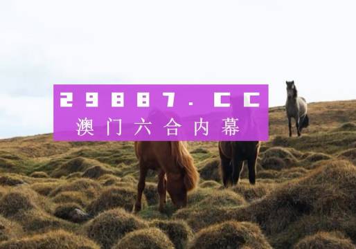 2024年澳门开奖结果，澳门开奖结果揭晓，2024年幸运数字揭晓