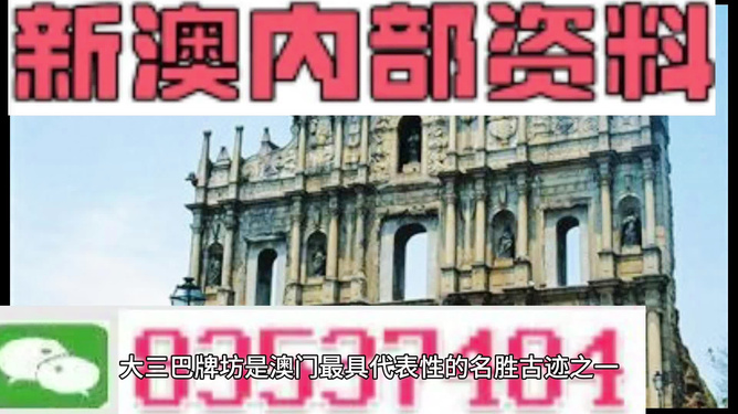 2024新澳资料免费精准，2024新澳资料免费精准全解析