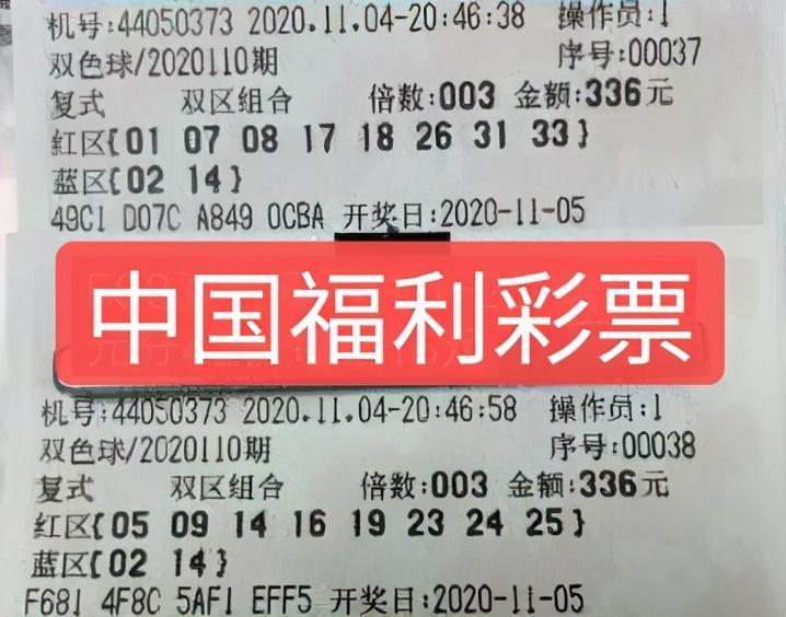 澳门一码中精准一码的投注技巧，澳门一码中精准投注技巧，警惕违法犯罪风险