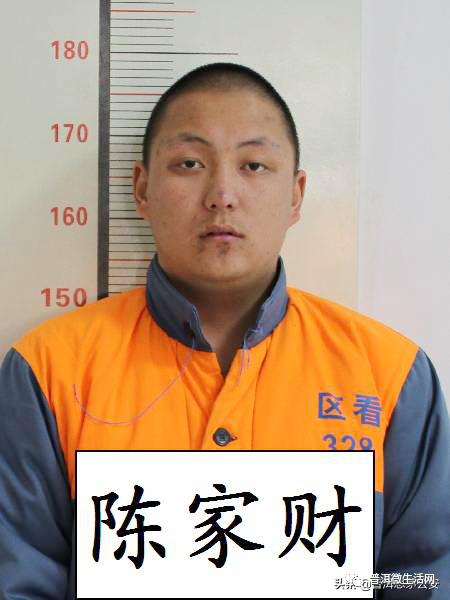 澳门一码一肖一待一中今晚，澳门一码一肖一待一中涉嫌赌博犯罪，警惕风险，切勿参与！