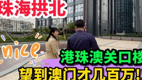 2024澳门天天开好彩大全65期，澳门天天开好彩背后的犯罪风险警示