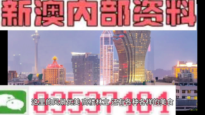 2024新澳精准资料大全，2024新澳精准资料大全手册