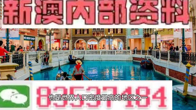 新澳门精准资料大全管家婆料，澳门精准资料大全揭秘，管家婆料背后的风险与警示